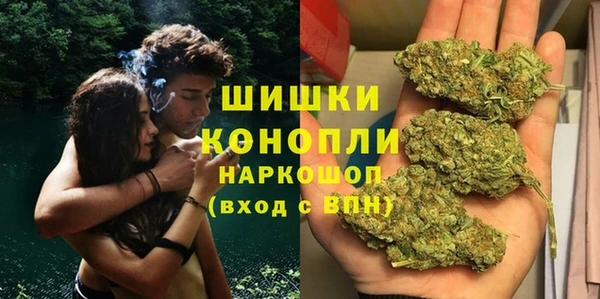 дурь Алзамай