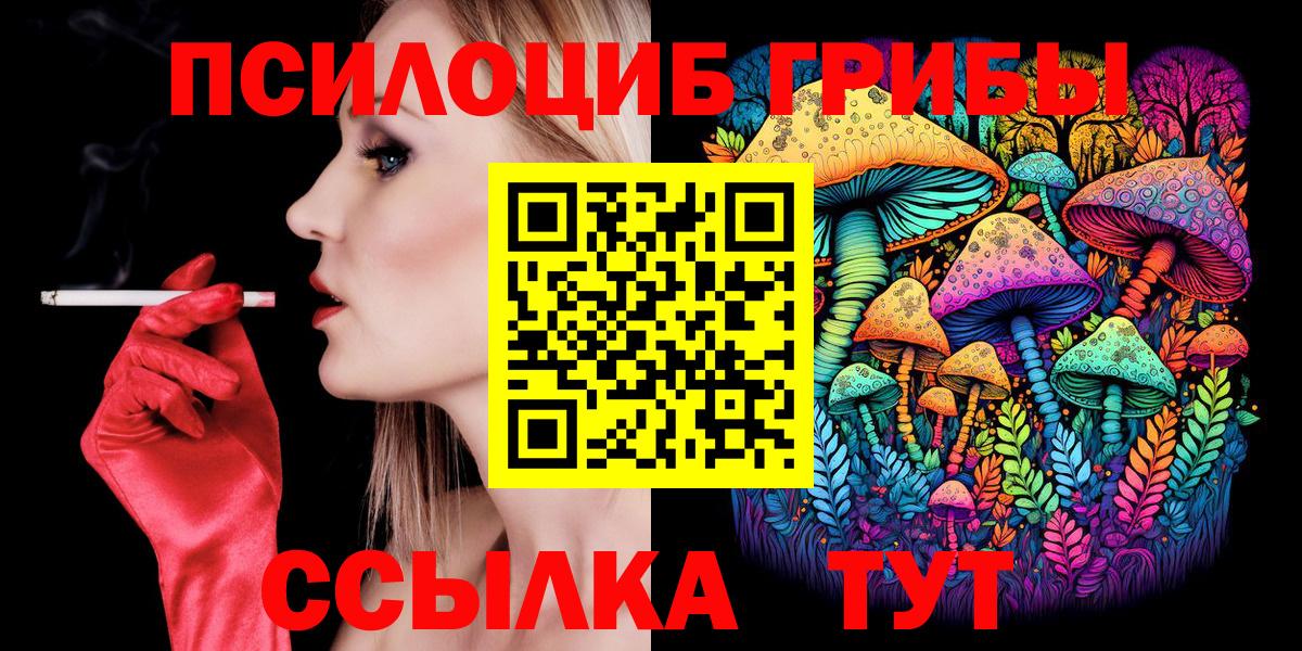 Псилоцибиновые грибы прущие грибы Тында