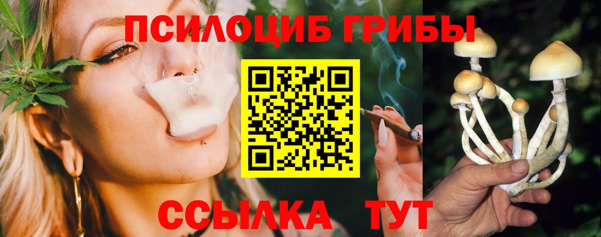 Тында  Галлюциногенные грибы Psilocybine cubensis  Галлюциногенные грибы прущие грибы  Вход с VPN 